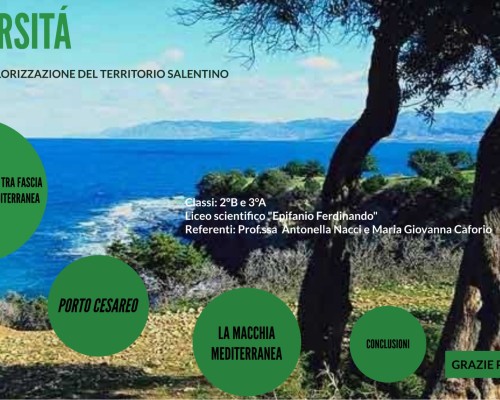 Itinerario didattico sulla biodiversità Marina nel Salento