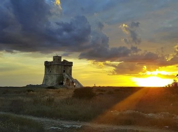 "Rivoluzione di luce su tela mediterranea" - classe 4AC dell’IISS E. Medi - Galatone (Le), Indirizzo Professionale, rappresentata dal prof. Gianluigi Antonaci