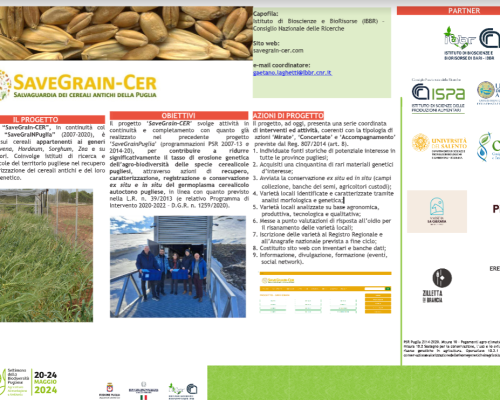 SaveGrain-CER. Salvaguardia dei cereali antichi della Puglia