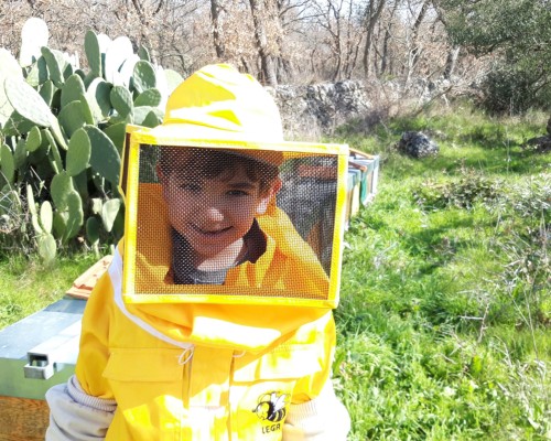 Piccole azioni per grandi cambiamenti: testimonianze di esperienze di cura della biodiversità