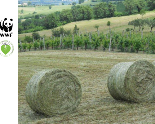 L'agroecologia può nutrire il pianeta