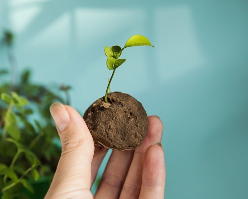 Fonte immagine: www.tuttogreen.it
