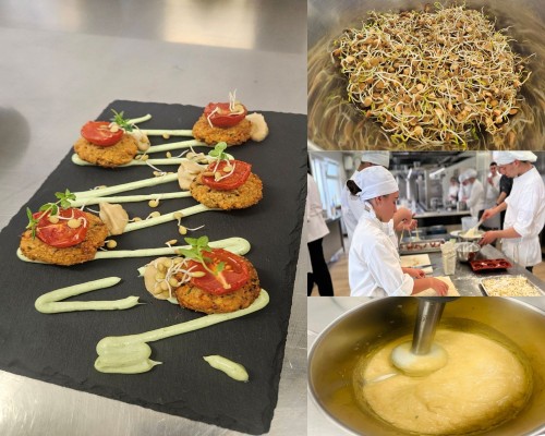 Dal seme al piatto. La ricetta del falafel di ceci con germogli di lenticchie dell’Istituto Oriani – Tandoi di Corato