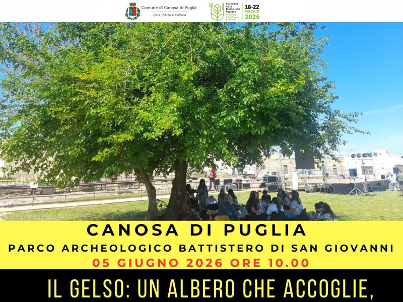 Evento «Il gelso: un albero che accoglie, una terra che racconta»